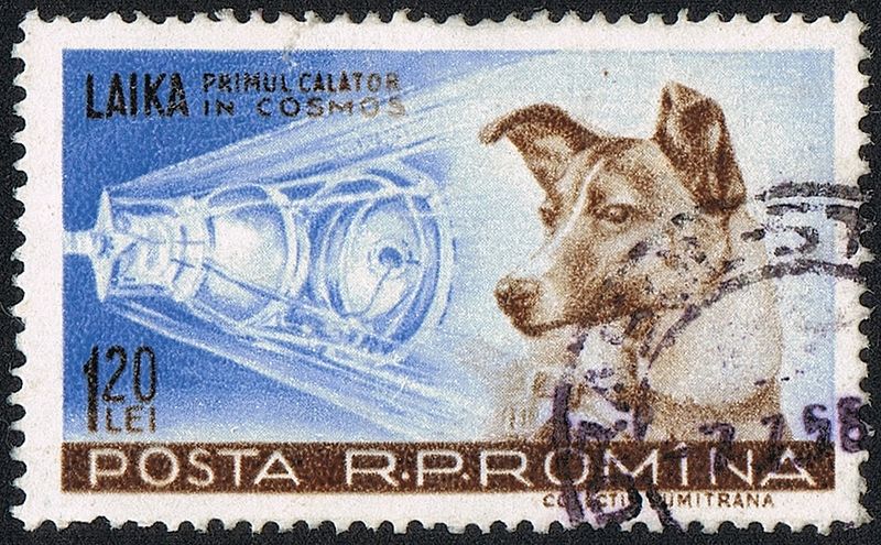 Laika Space Dog
