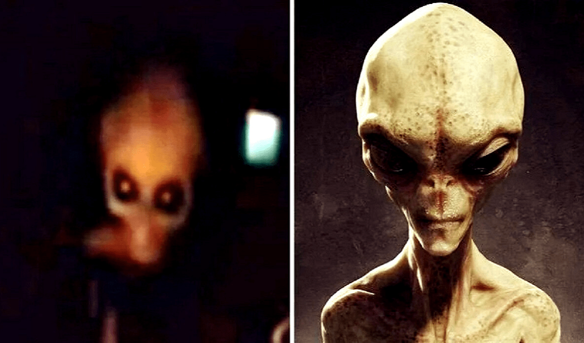 Terrified Alien Interviewed