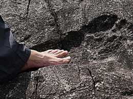 290 Million Year Old Human Footprint
