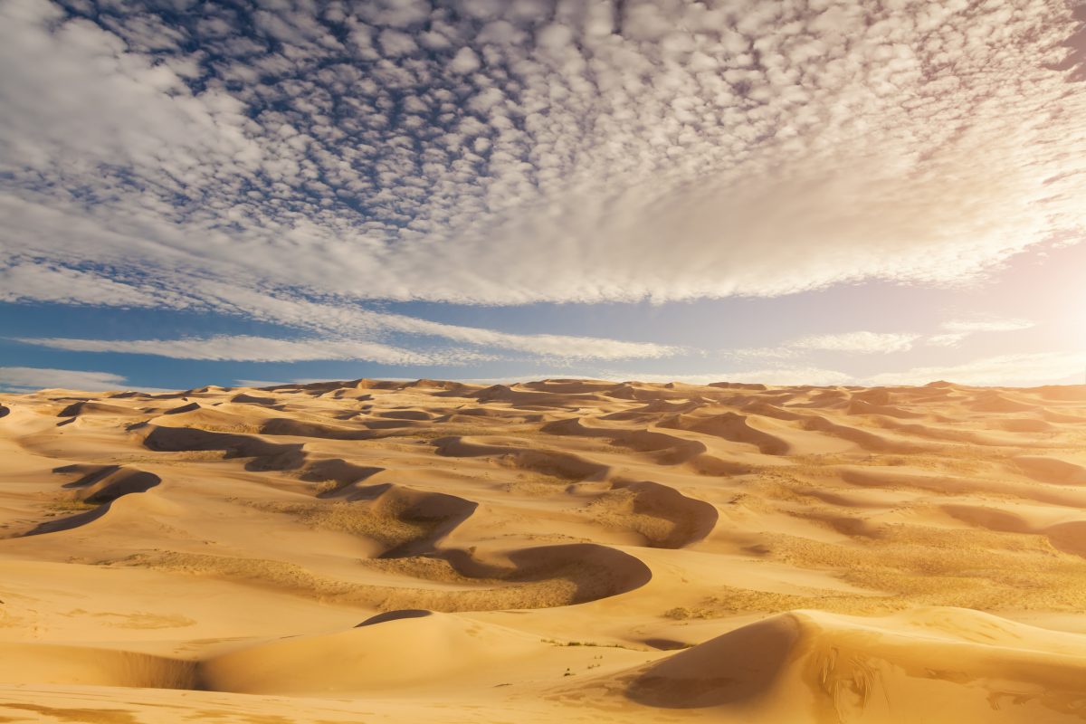 Solar Panels In The Sahara Desert