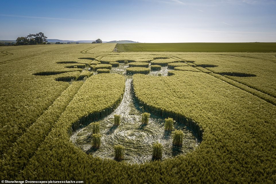 Mystic Coronavirus Shaped Crop Circle