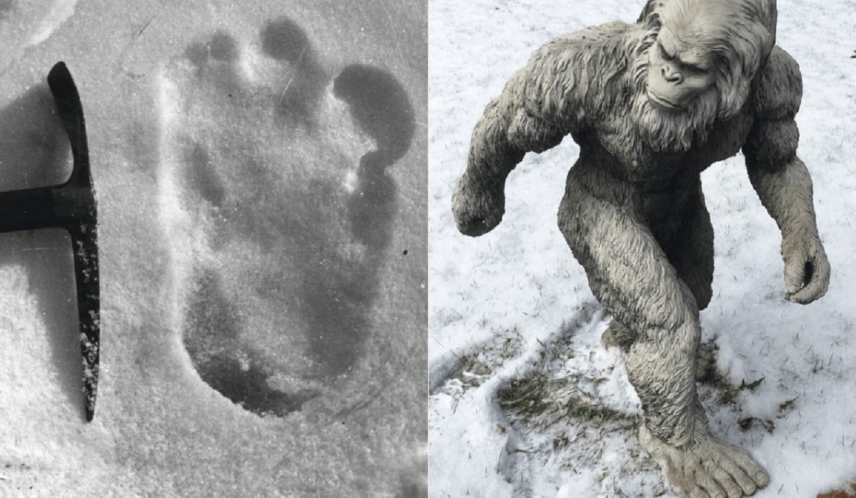 Bigfoot Found In the Himalayas/