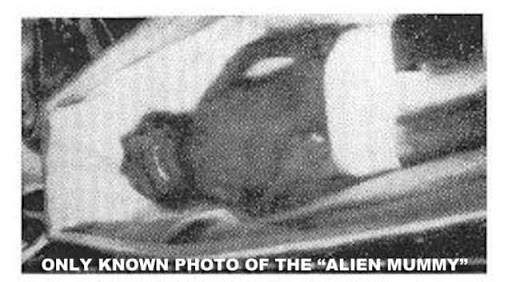 Alien mummy