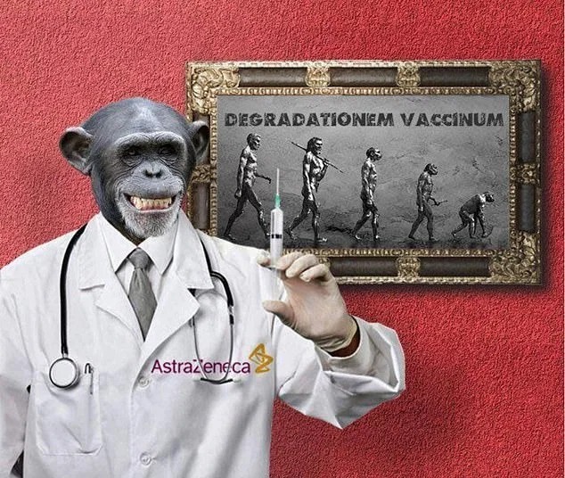 coronavirus monkey vaccine