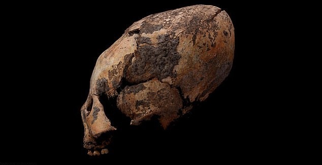 crânio M72 tem entre 6.300 e 5.500 anos de idade