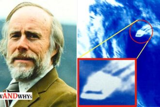 Bruce Maccabee satellite UFO photo