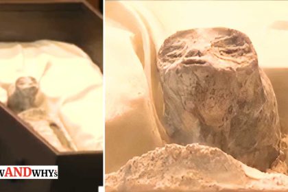 Peru alien mummified body