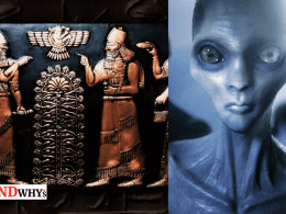 Ancient Alien Theory Of Genetic Mutation