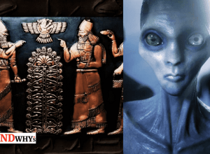 Ancient Alien Theory Of Genetic Mutation