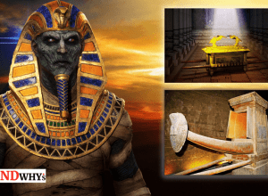 Osiris device