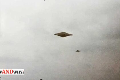 Calvine UFO Photo Original