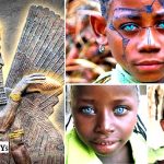 DNA Of Melanesian People