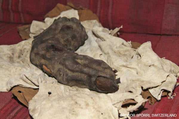 Giant Mummified Finger