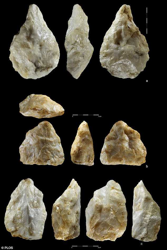Homo erectus million-year-old tools