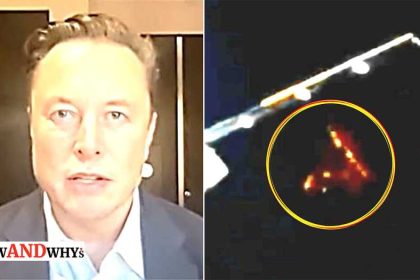 spacex UFO sighting
