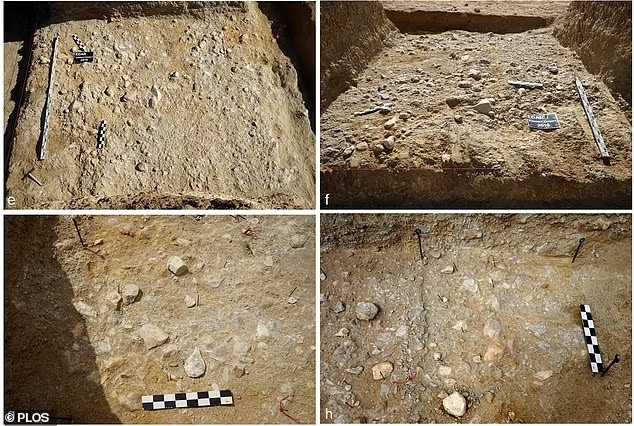Homo erectus million-year-old tools