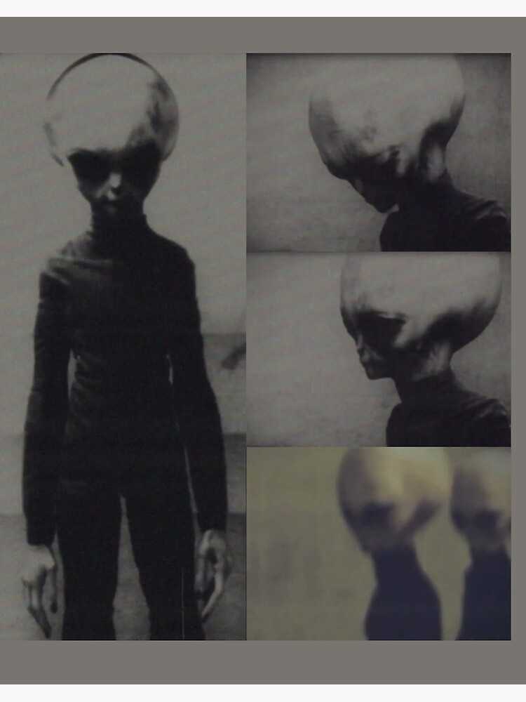 Skinny Bob alien video