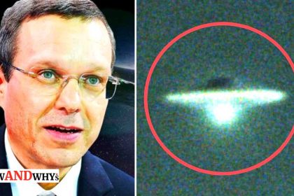 Avi Loeb UFO Are Extraterrestrial