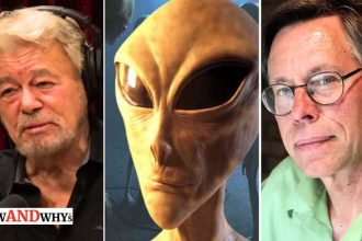 Bob Lazar Humans as 'Containers of Souls'
