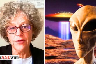 Leslie Kean on UFOs afterlife near death experiences