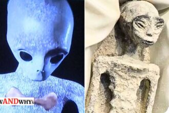 Mexican alien mummies