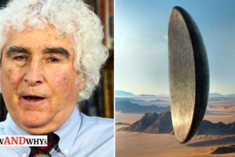 Daniel Sheehan UFO antigravity and teleportation